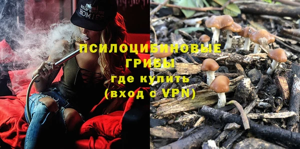 spice Магас