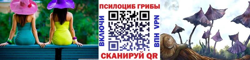 площадка какой сайт  Электроугли  Галлюциногенные грибы ЛСД  ОМГ ОМГ ONION 